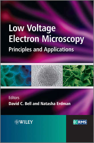 Группа авторов. Low Voltage Electron Microscopy