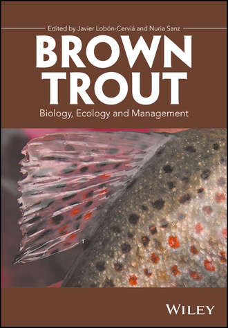 Группа авторов. Brown Trout