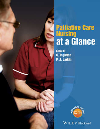 Группа авторов. Palliative Care Nursing at a Glance