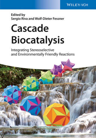 Группа авторов. Cascade Biocatalysis