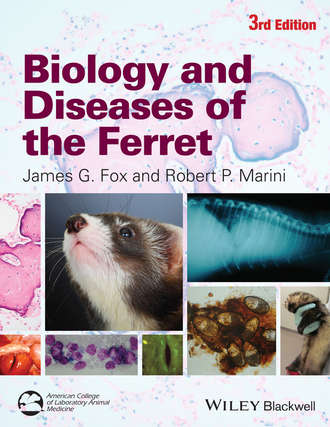 Группа авторов. Biology and Diseases of the Ferret