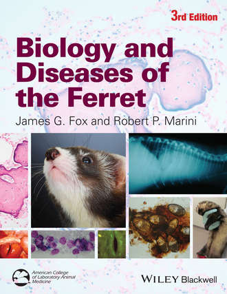 Biology and Diseases of the Ferret. Группа авторов
