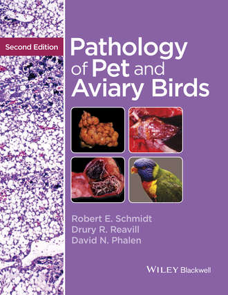 Robert E. Schmidt. Pathology of Pet and Aviary Birds