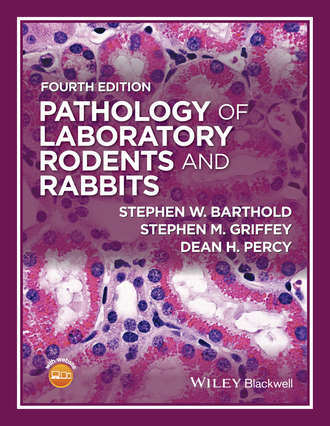 Stephen W. Barthold. Pathology of Laboratory Rodents and Rabbits