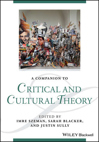 Группа авторов. A Companion to Critical and Cultural Theory