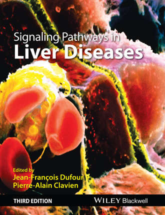 Группа авторов. Signaling Pathways in Liver Diseases