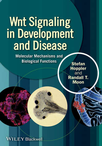 Stefan P. Hoppler. Wnt Signaling in Development and Disease