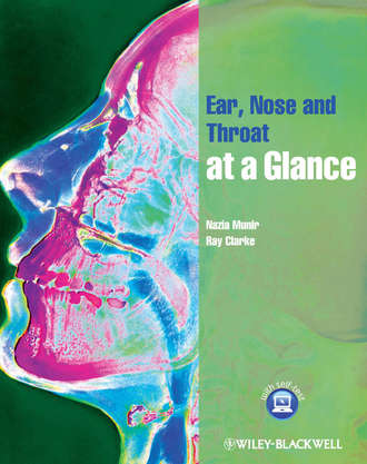 Nazia Munir. Ear, Nose and Throat at a Glance