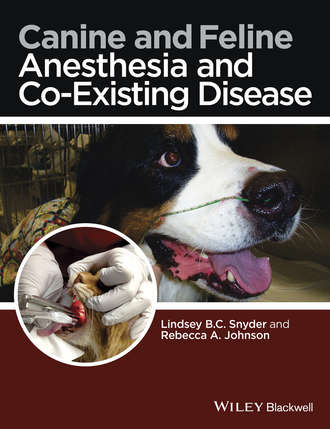 Группа авторов. Canine and Feline Anesthesia and Co-Existing Disease