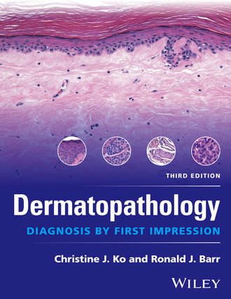 Dermatopathology. Christine J. Ko