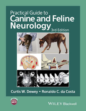 Группа авторов. Practical Guide to Canine and Feline Neurology