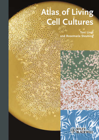 Toni Lindl. Atlas of Living Cell Cultures