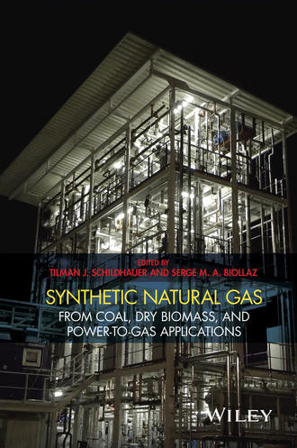 Группа авторов. Synthetic Natural Gas