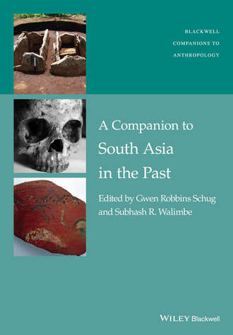 Gwen Robbins Schug. A Companion to South Asia in the Past