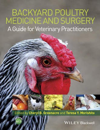 Группа авторов. Backyard Poultry Medicine and Surgery