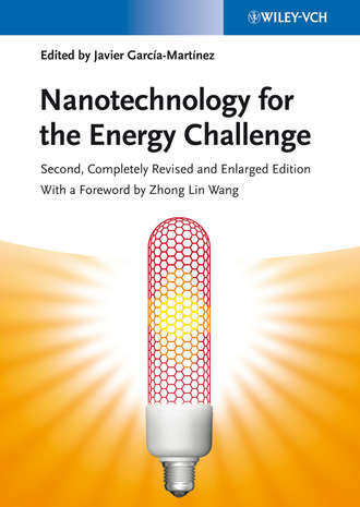 Группа авторов. Nanotechnology for the Energy Challenge