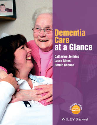 Catharine  Jenkins. Dementia Care at a Glance