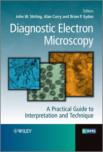 Группа авторов. Diagnostic Electron Microscopy