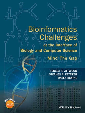 David Thorne. Bioinformatics Challenges at the Interface of Biology and Computer Science