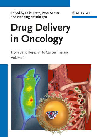 Группа авторов. Drug Delivery in Oncology
