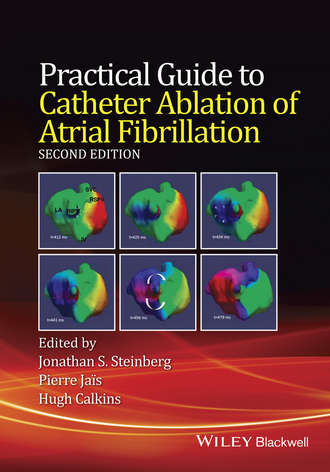 Jonathan S. Steinberg. Practical Guide to Catheter Ablation of Atrial Fibrillation