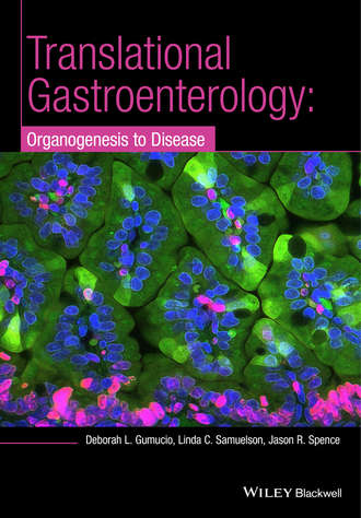 Deborah L. Gumucio. Translational Research and Discovery in Gastroenterology