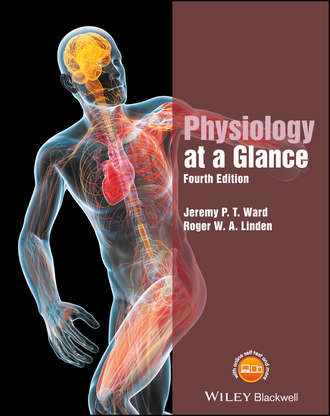 Roger W. A. Linden. Physiology at a Glance