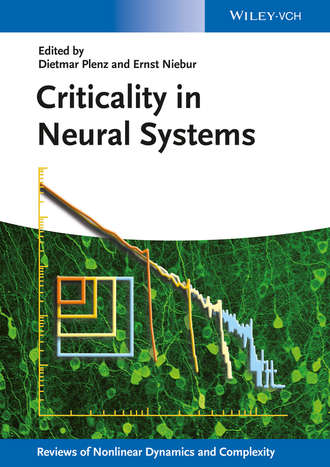 Группа авторов. Criticality in Neural Systems