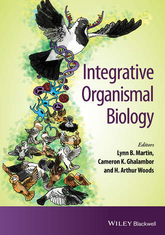 Lynn B. Martin. Integrative Organismal Biology