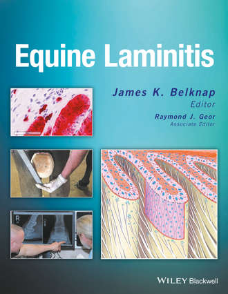 Группа авторов. Equine Laminitis