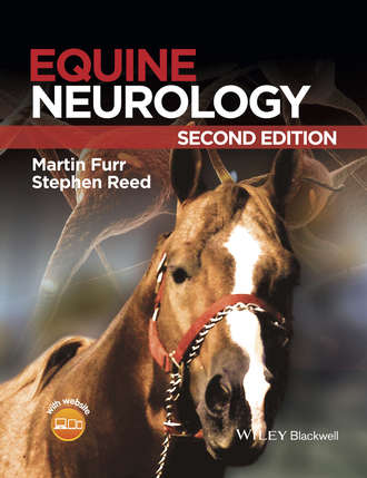 Equine Neurology. Группа авторов