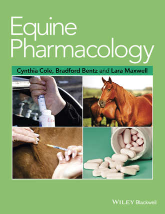 Группа авторов. Equine Pharmacology