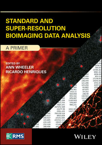 Группа авторов. Standard and Super-Resolution Bioimaging Data Analysis