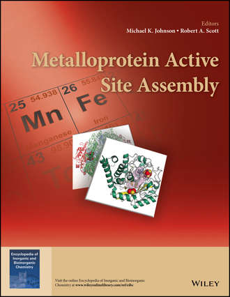 Группа авторов. Metalloprotein Active Site Assembly