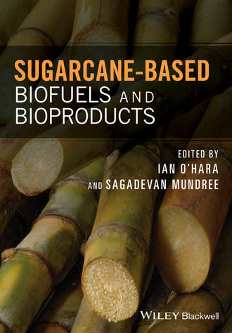 Группа авторов. Sugarcane-based Biofuels and Bioproducts