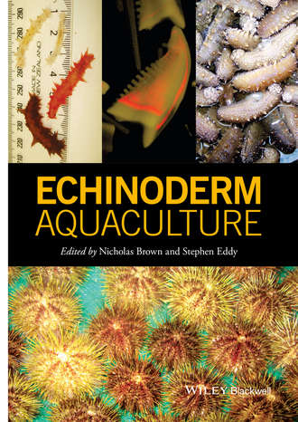 Steve  Eddy. Echinoderm Aquaculture