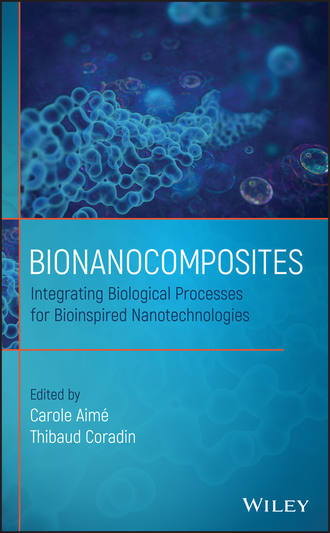 Группа авторов. Bionanocomposites
