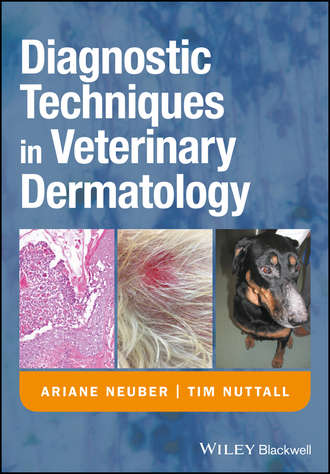 Ariane Neuber. Diagnostic Techniques in Veterinary Dermatology