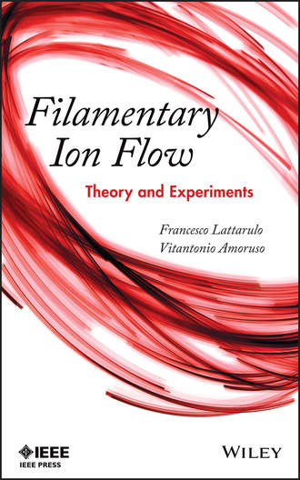 Francesco  Lattarulo. Filamentary Ion Flow
