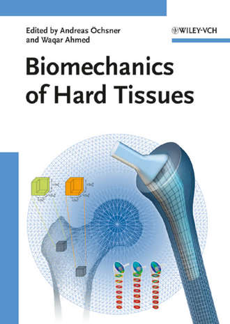 Группа авторов. Biomechanics of Hard Tissues