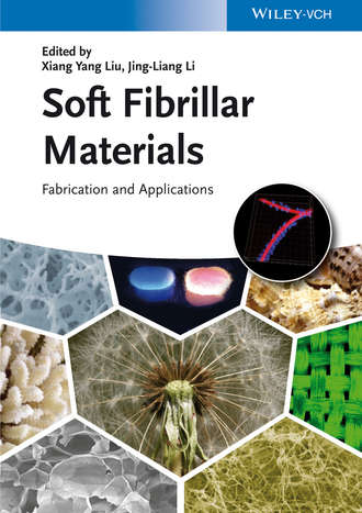 Группа авторов. Soft Fibrillar Materials
