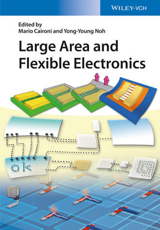 Mario Caironi. Large Area and Flexible Electronics
