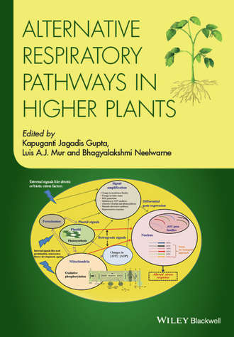 Группа авторов. Alternative Respiratory Pathways in Higher Plants