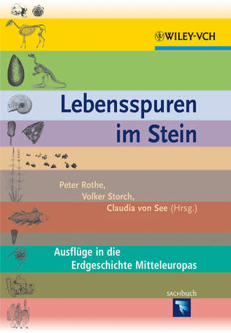 Группа авторов. Lebensspuren im Stein