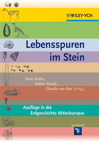 Lebensspuren im Stein. Группа авторов