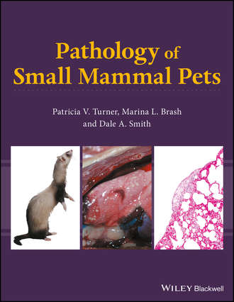 Patricia V. Turner. Pathology of Small Mammal Pets