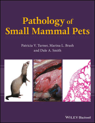 Pathology of Small Mammal Pets. Patricia V. Turner
