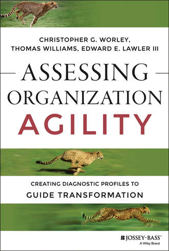 Assessing Organization Agility. Edward E. Lawler, III