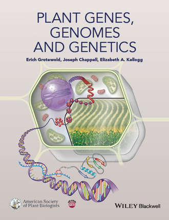 Erich Grotewold. Plant Genes, Genomes and Genetics
