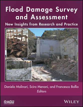Группа авторов. Flood Damage Survey and Assessment